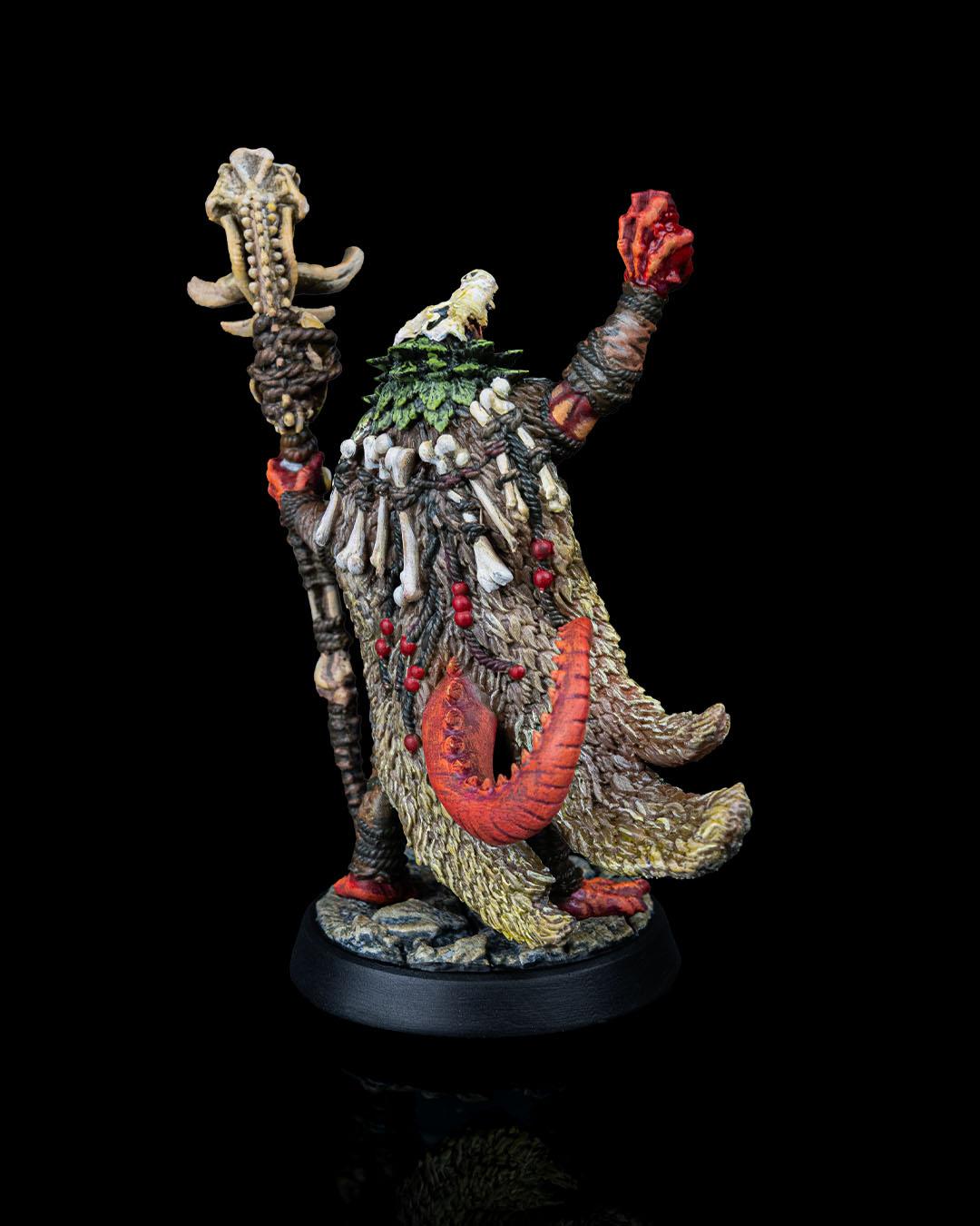 Dragonborn Shaman w/ base